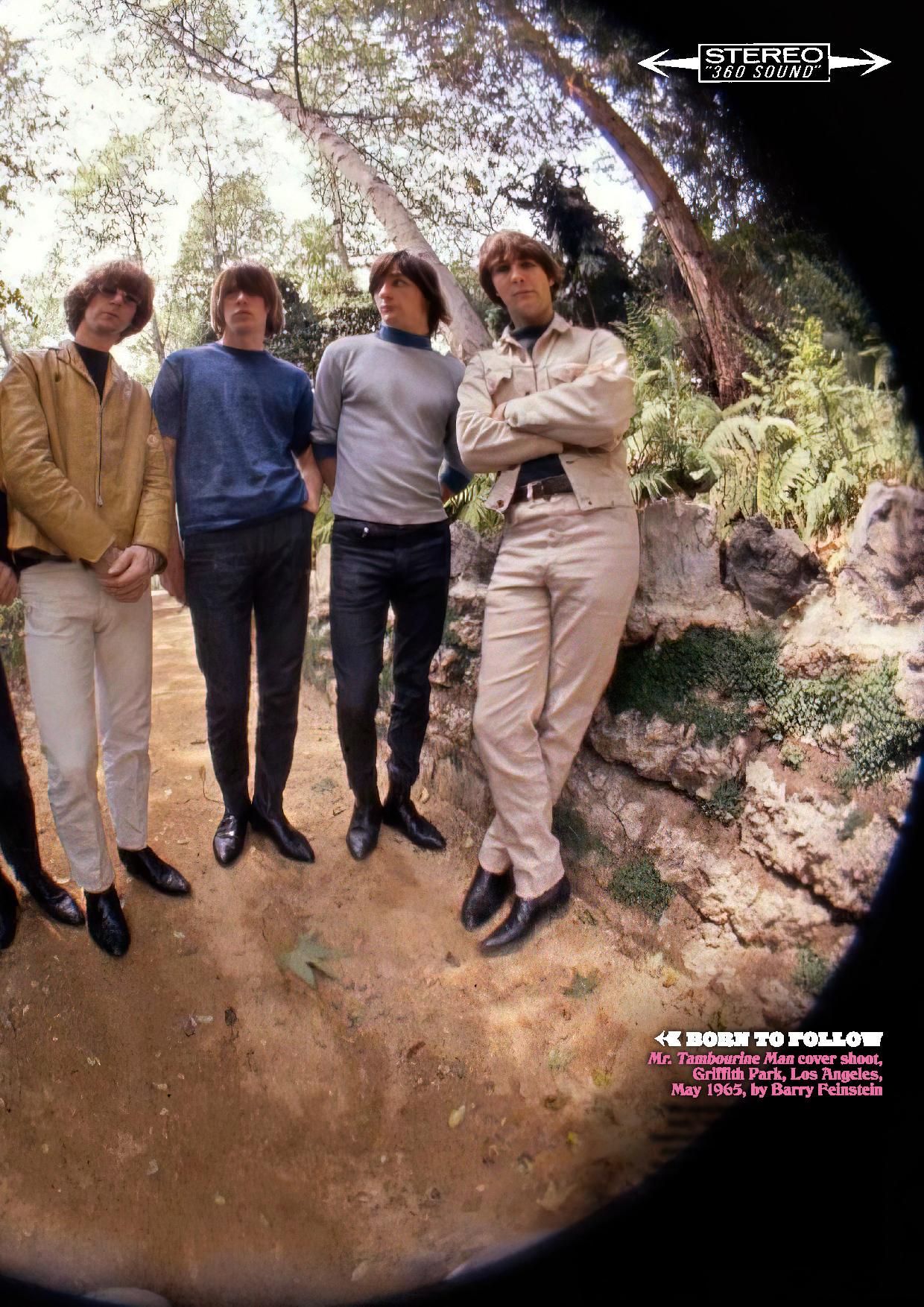 7 Expert Insights Into "Grass Roots Where Were You When I Needed You" — The Ultimate Guide For Fans And Collectors