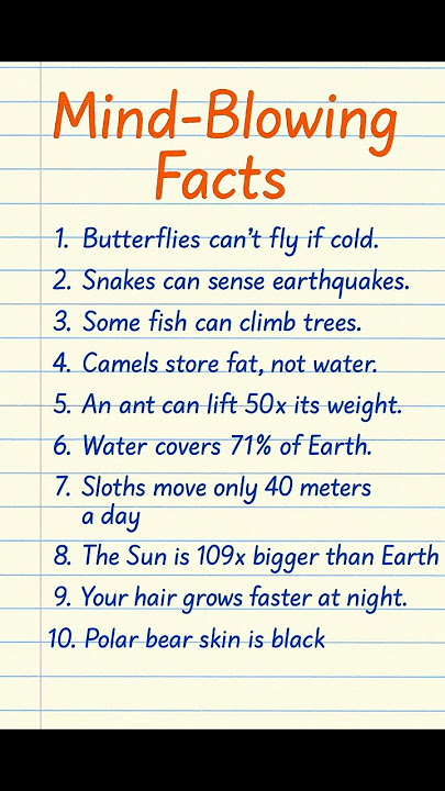 10 Shocking Truths About What Does GK Mean You Must Know