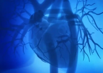 7 Expert Tips To Unlock American Academy of First Aid and CPR Promo Code Savings: The Ultimate Guide