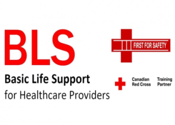 7 Expert Secrets to How to Get a Basic Life Support Certification Fast and Hassle-Free