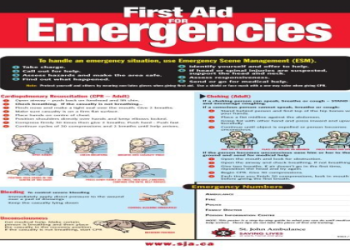 How Long Do First Aid and CPR Certifications Last? 7 Essential Facts Experts Want You to Know