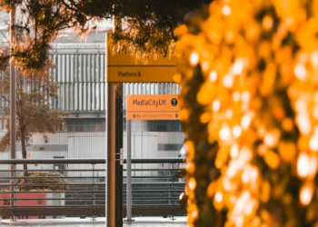 7 Expert Strategies to Find Information Technology Jobs Singapore Football Enthusiasts Need to Know