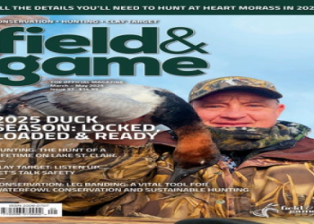 10 Expert Secrets of Nadia Coaching Football That Will Transform Your Game