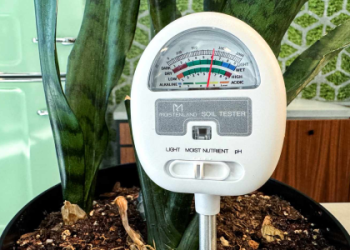 10 Expert Insights on the Grass Roots Where Were You When I Needed You: The Ultimate Guide