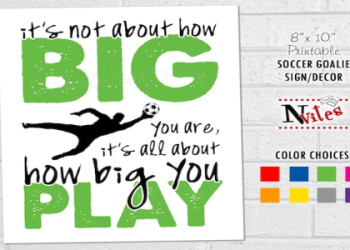 10 Expert Secrets About Soccer Goalie Rules Box You Need to Know