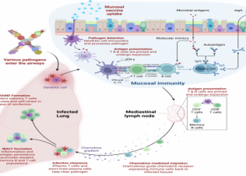 The Ultimate Guide to Defense vs RB: Expert Insights and Winning Strategies