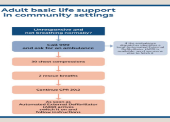 10 Expert Answers: Does Online CPR Certification Count for Real?