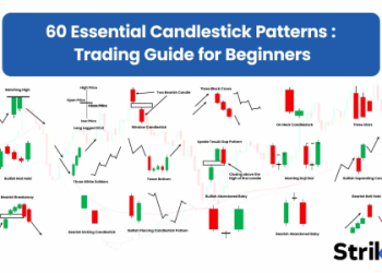 10 Expert Tips for Using Trap Shooting Score Sheets: The Ultimate Guide for Accurate Tracking