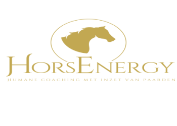 10 Expert Tips for Mastering Paardencoaching Opleiding Football: The Ultimate Guide
