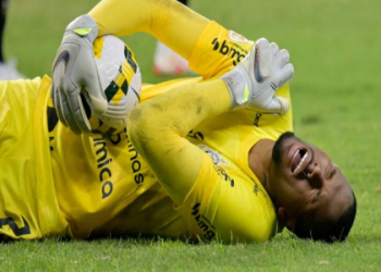 10 SURPRISING FACTS ABOUT AVERAGE GOALKEEPER HEIGHT THAT EVERY FOOTBALL FAN MUST KNOW