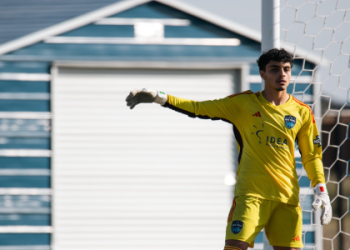 10 Expert Tips to Choose the Ultimate ho goalkeeper gloves for Peak Performance