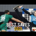 10 Must-Know Facts About Soccer Goalkeeper Handball Rules: The Ultimate Expert Guide
