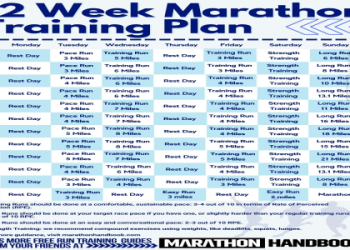 12 Week Speed and Agility Program PDF: The Ultimate Expert Guide to Faster Performance